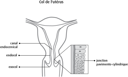 d470661e67336b53c4c5f0965d2c2d51